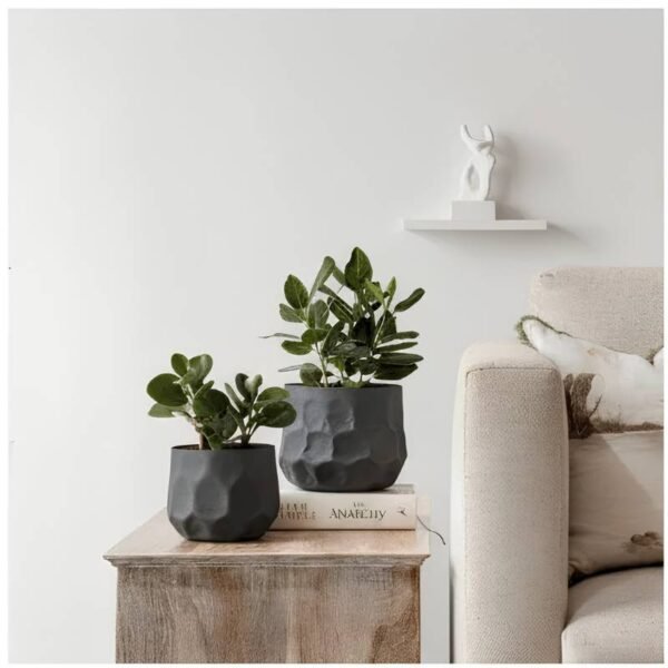 Bonsai Shadow Iron Vase